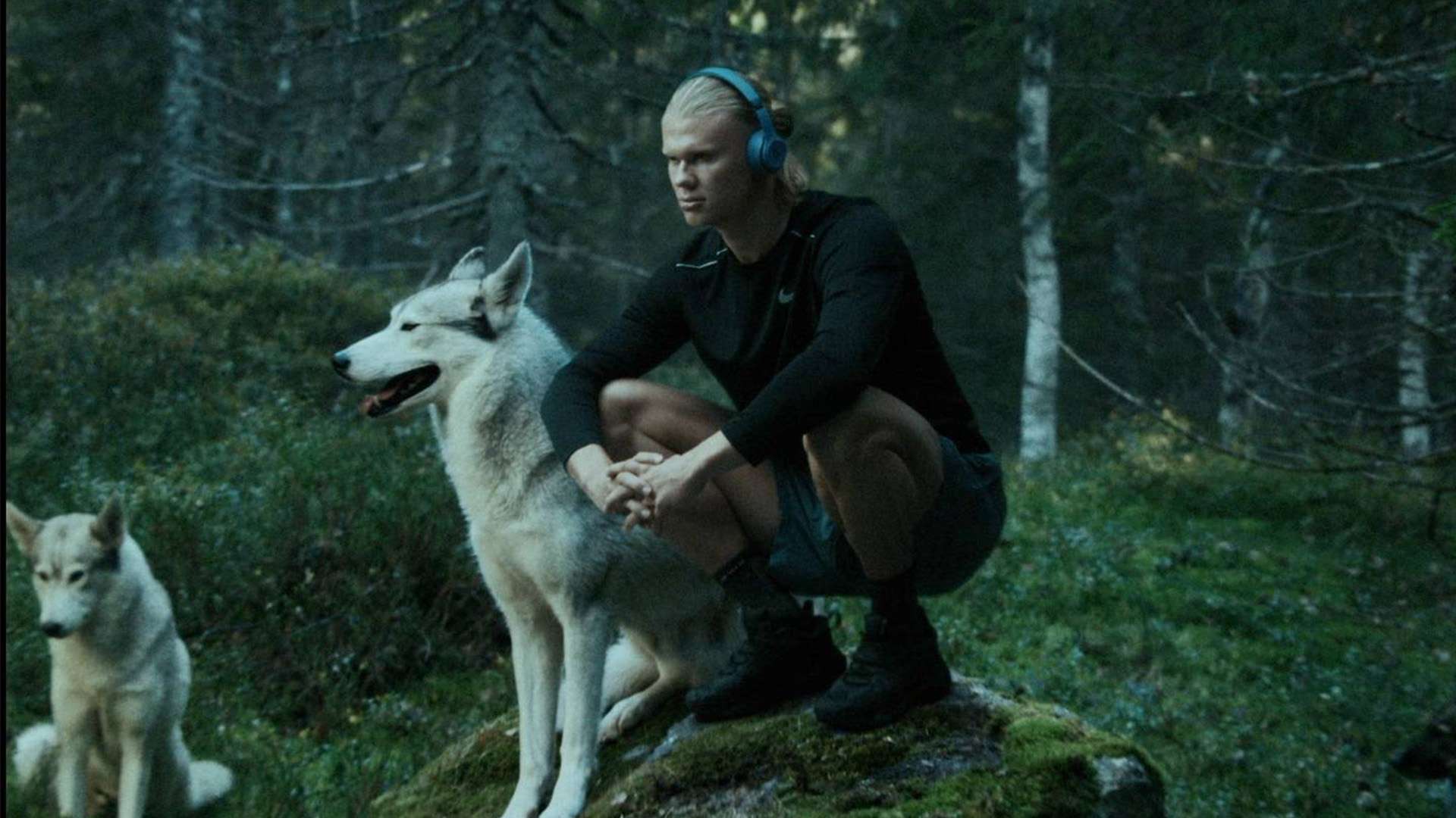 例如通过协 例如通过协