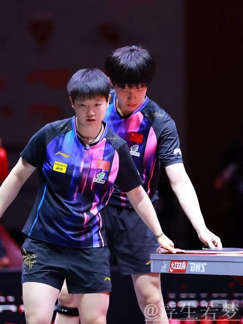 中国组合混双自由自选排名第七